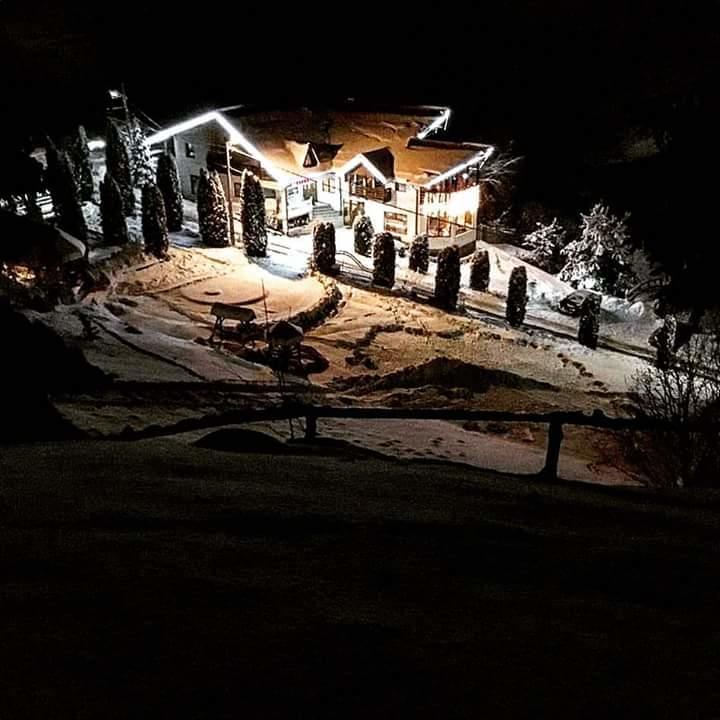 Pensiunea Eladi Borşa Exterior foto