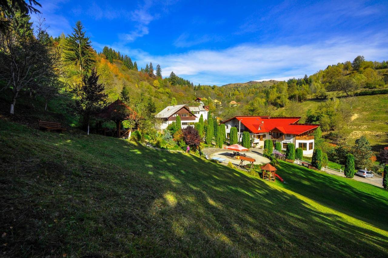 Pensiunea Eladi Borşa Exterior foto