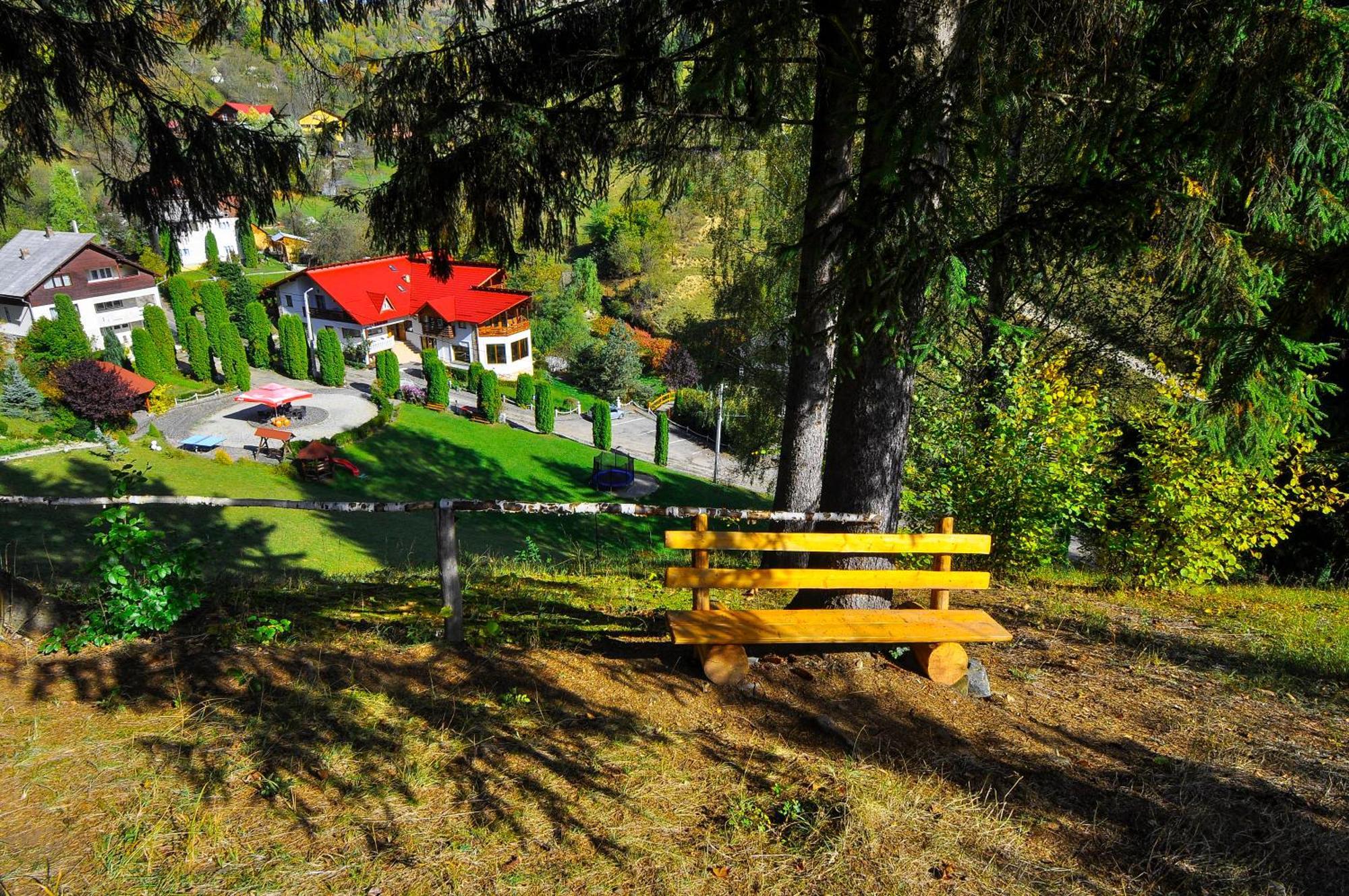 Pensiunea Eladi Borşa Exterior foto