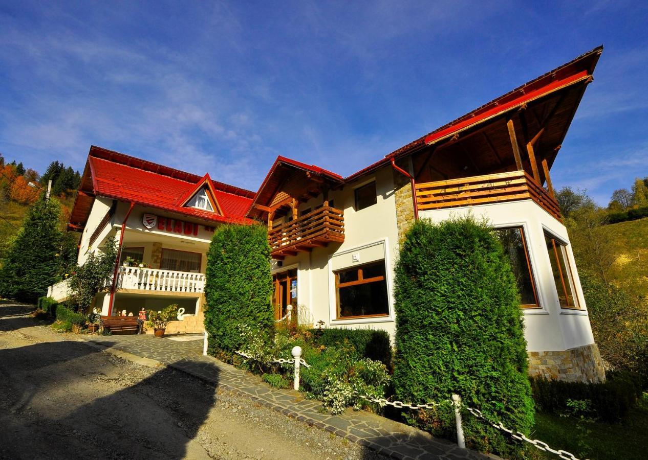 Pensiunea Eladi Borşa Exterior foto